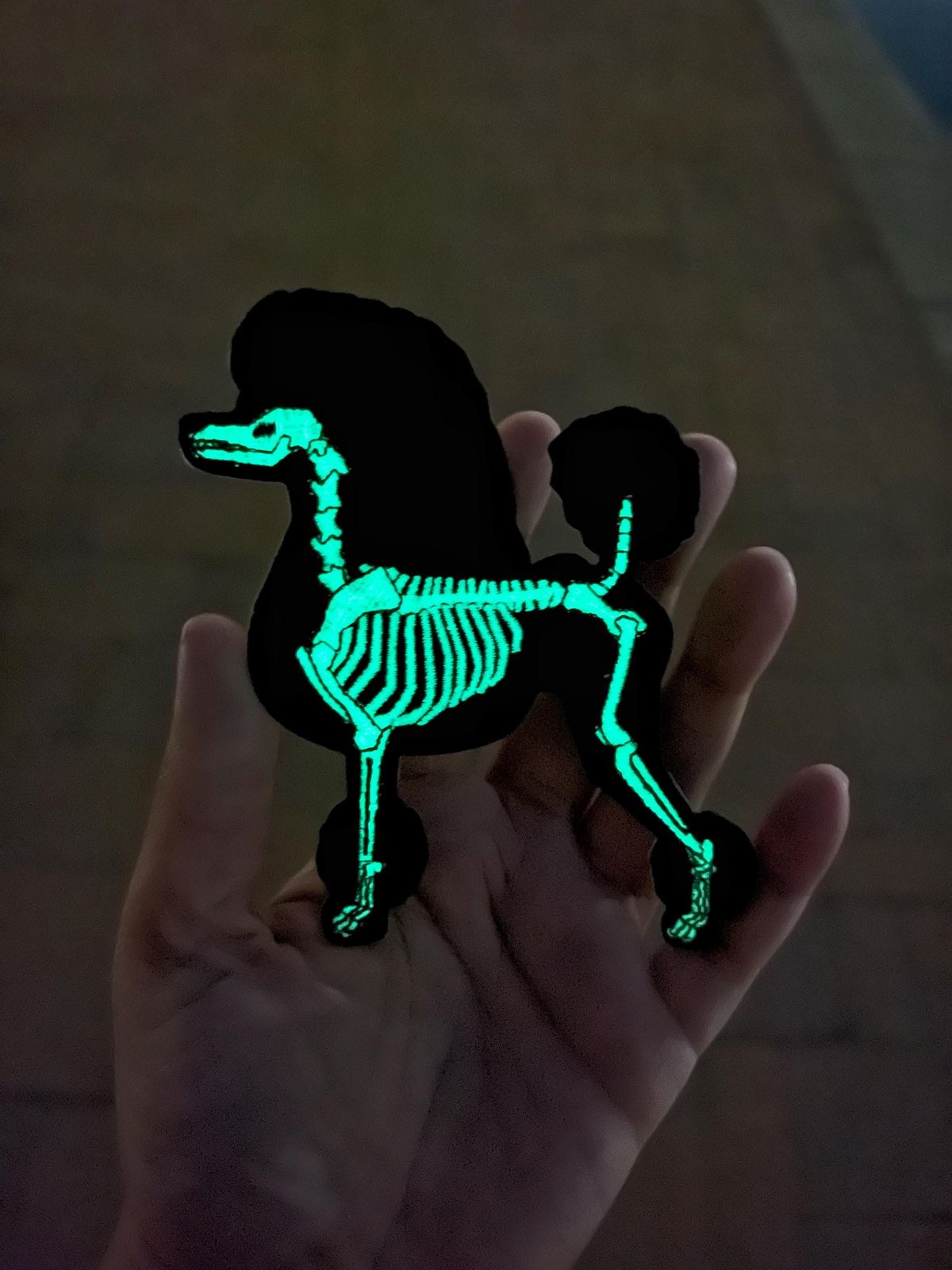 Glow in dark Patch